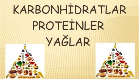 Denge Diyeti: Karbonhidratlar, Proteinler ve Yağlar Arasındaki Denge