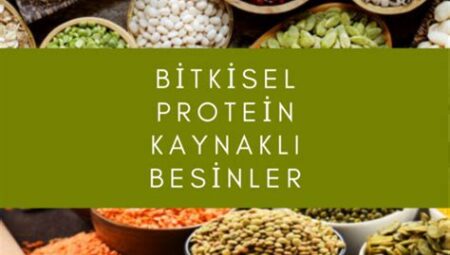 Vega Protein: Bitkisel Protein Kaynağının Gücü